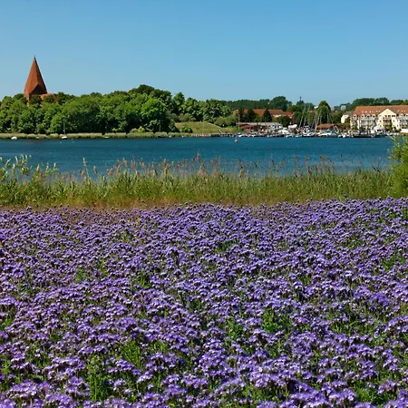 Gollwitzer Park Strandburg