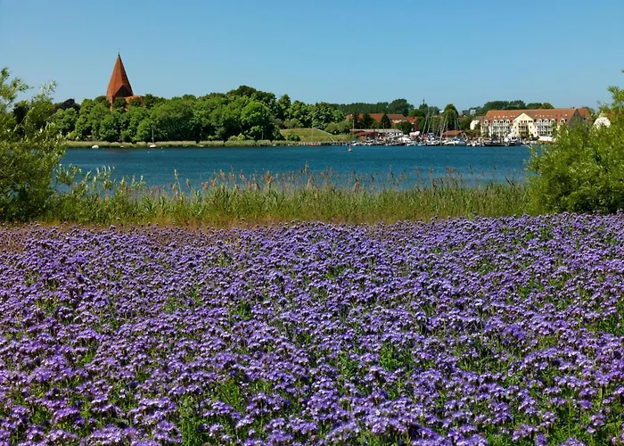 Gollwitzer Park Strandburg